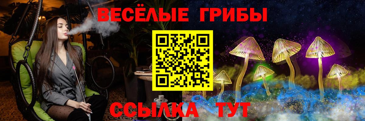 купить наркотик  Галлюциногенные грибы Psilocybine cubensis  Вход с VPN  Балашиха 